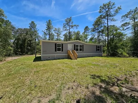 14230 SE 20th Street Morriston FL 32668