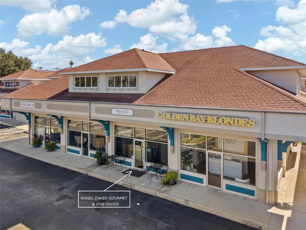 1484 Alternate 19 N Palm Harbor FL 34683