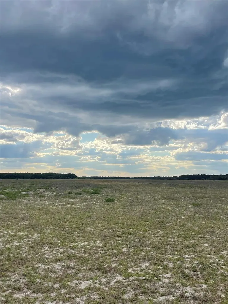 23535 NE 99th Avenue Road Citra FL 32113