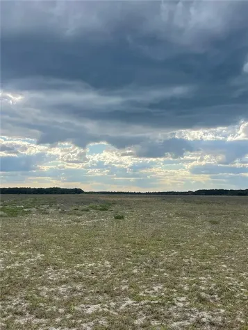 23535 NE 99th Avenue Road Citra FL 32113