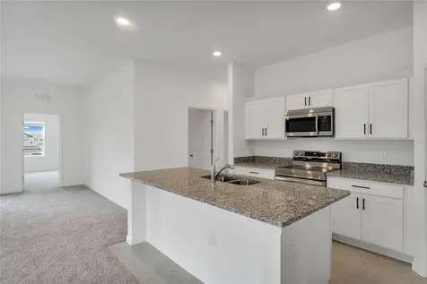 1877 Sierra Sun Way Minneola FL 34755