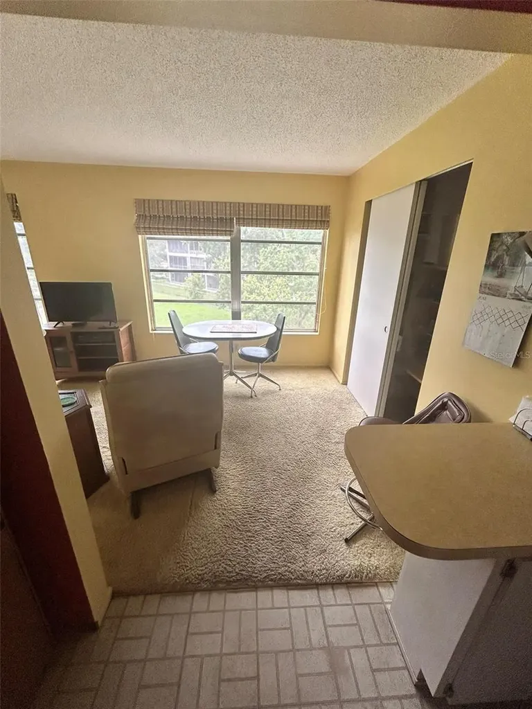 2386 Sumatran Way Clearwater FL 33763