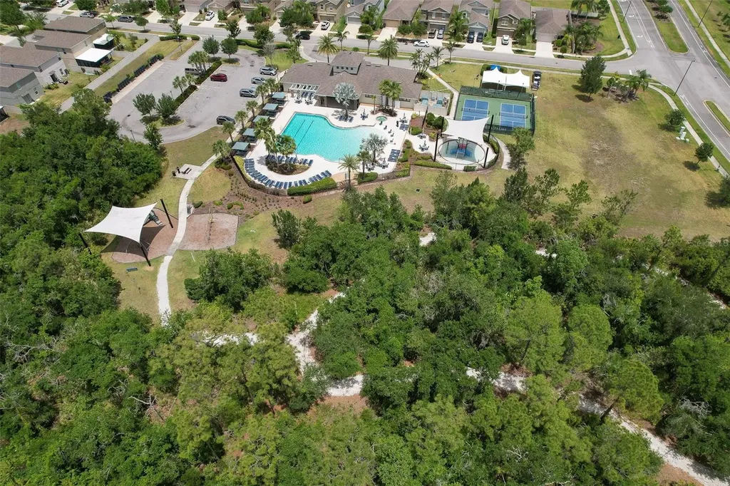 17334 White Mangrove Drive Wimauma FL 33598