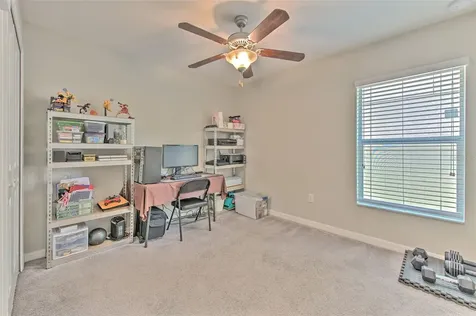 17334 White Mangrove Drive Wimauma FL 33598