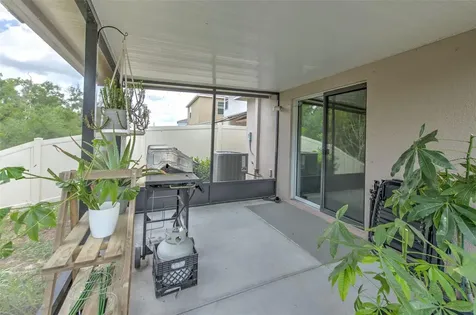 17334 White Mangrove Drive Wimauma FL 33598
