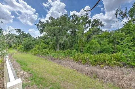 17334 White Mangrove Drive Wimauma FL 33598