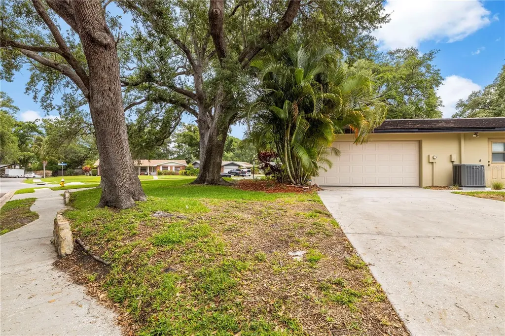 2215 Buena Vista Drive Clearwater FL 33764