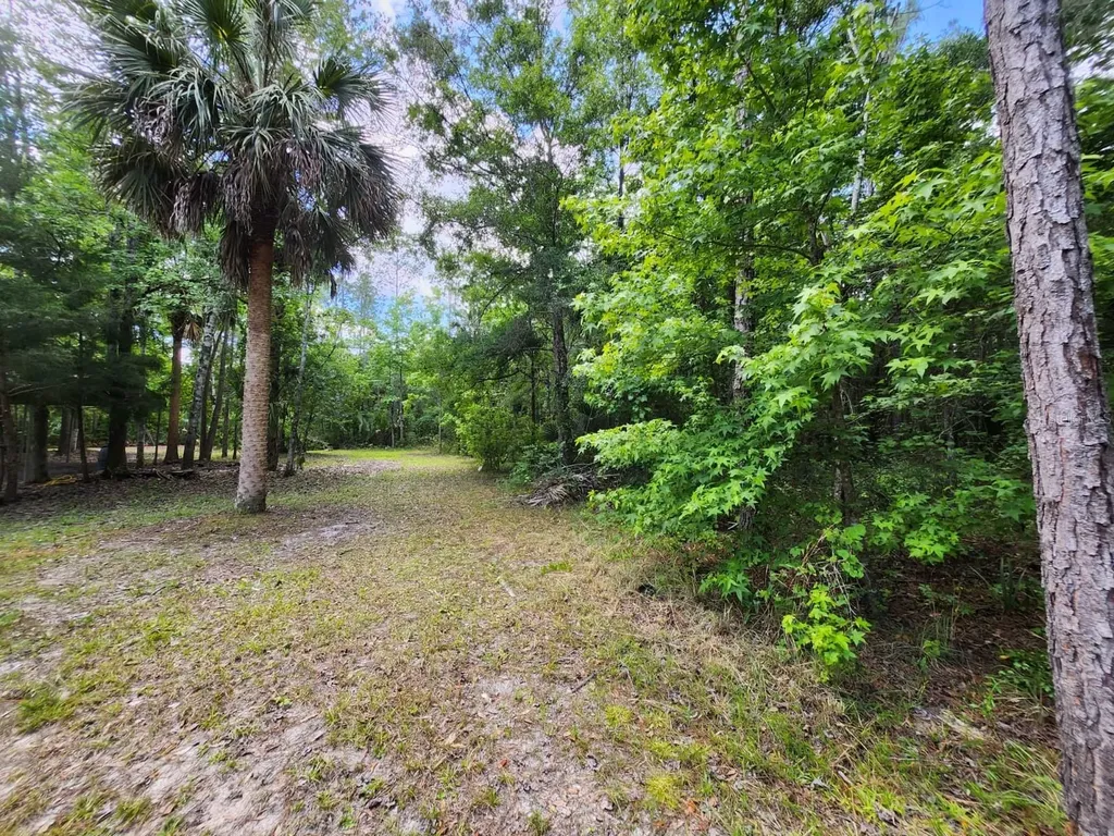 1450 Almond Street Bunnell FL 32110