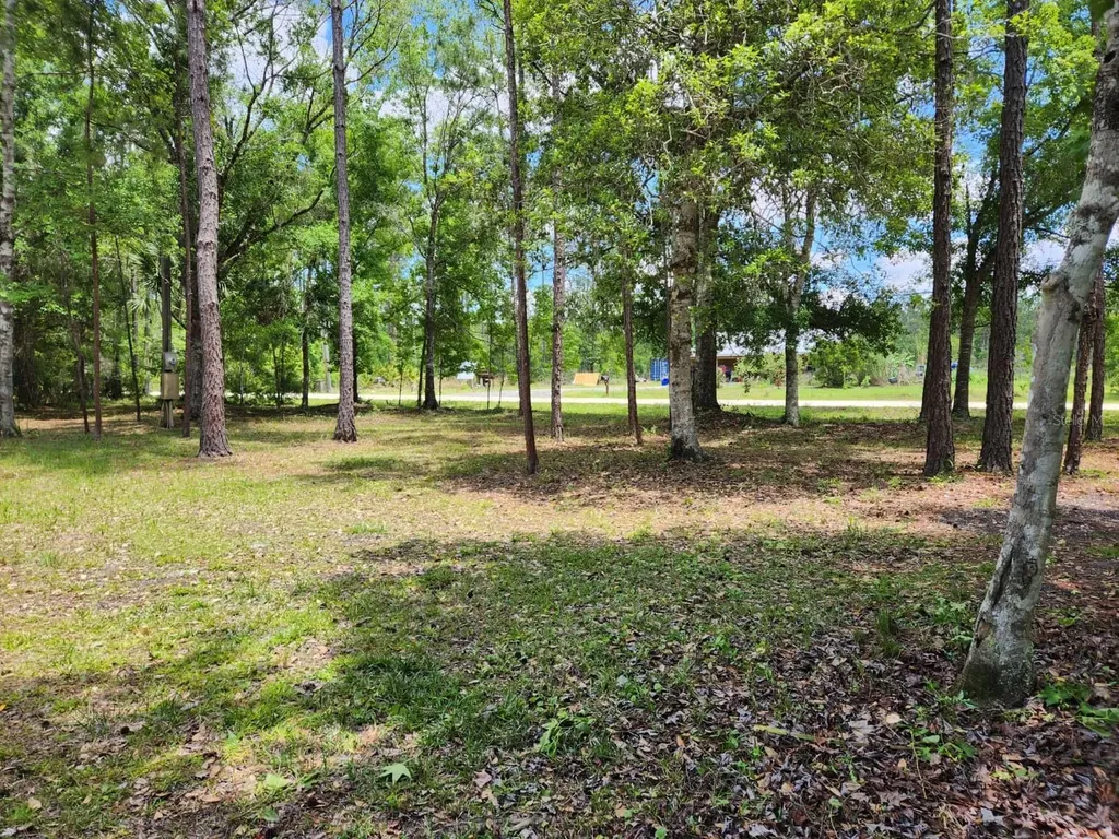 1450 Almond Street Bunnell FL 32110