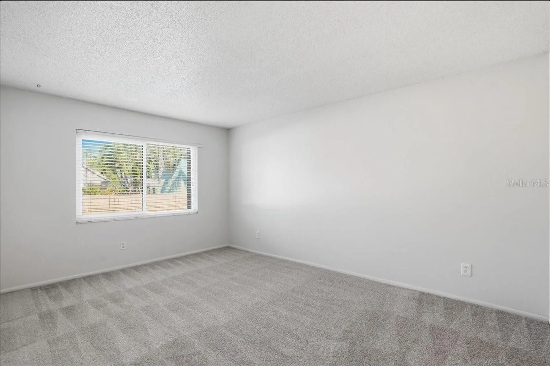 3700 S Osprey Avenue Sarasota FL 34239
