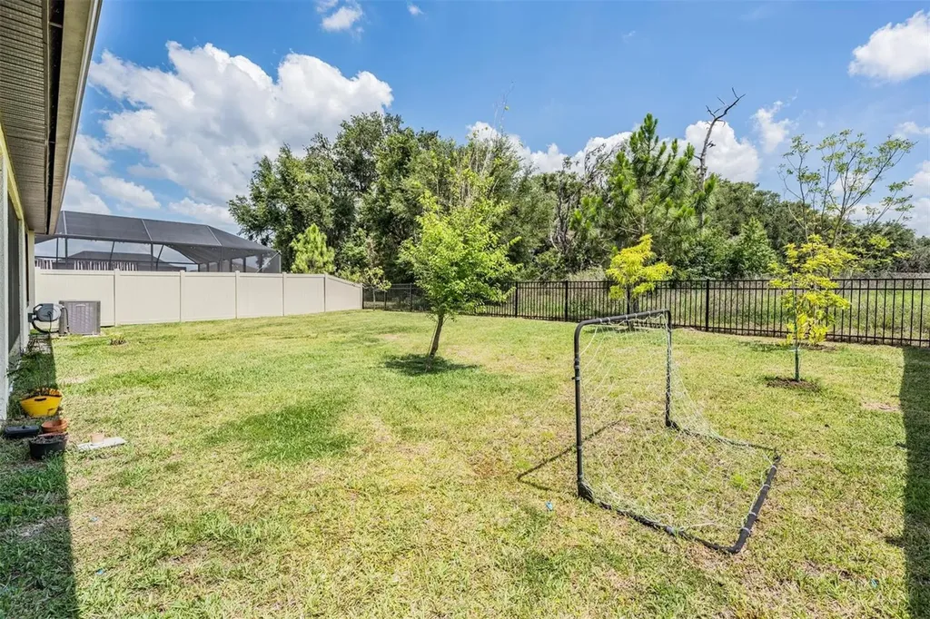 9405 Ibis Grove Boulevard Wesley Chapel FL 33545