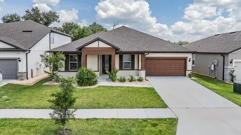 9405 Ibis Grove Boulevard Wesley Chapel FL 33545