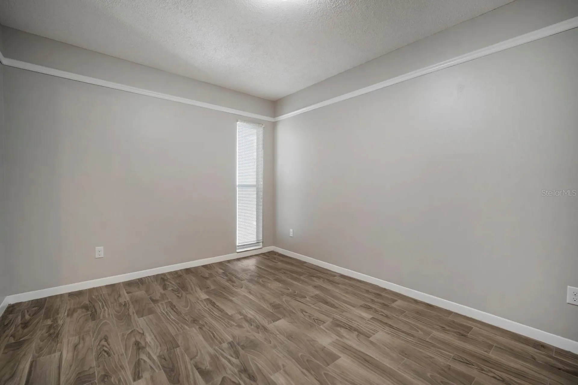 3708 Greenford Street Valrico FL 33596