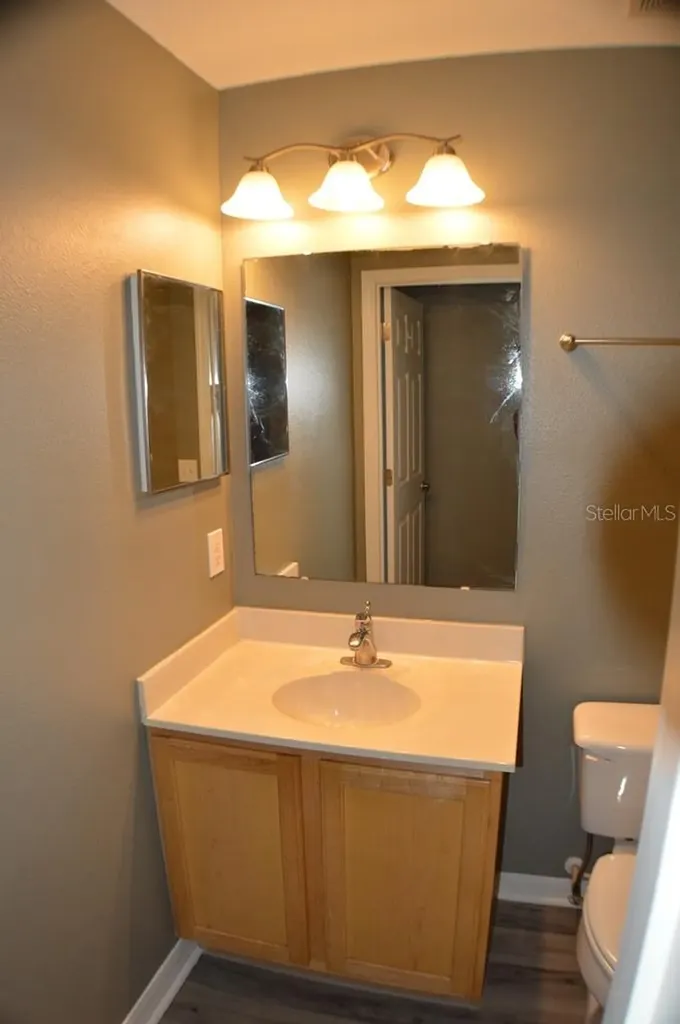 1017 Tawny Eagle Drive Groveland FL 34736