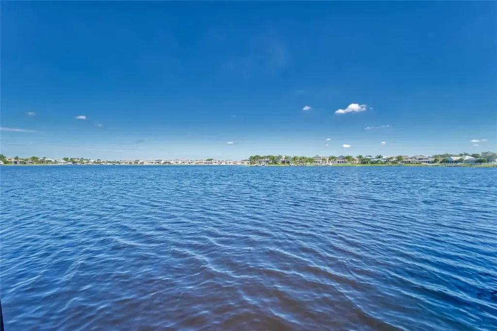 5225 Brighton Shore Drive Apollo Beach FL 33572