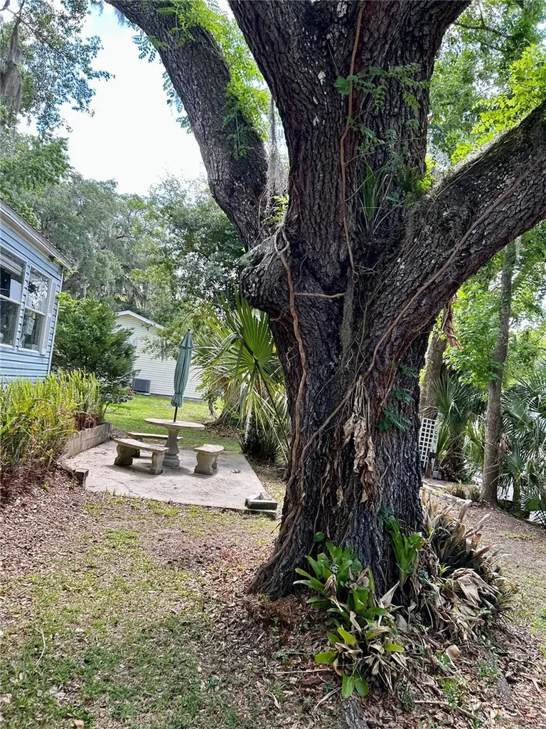 25646 Bass Road Astor FL 32102
