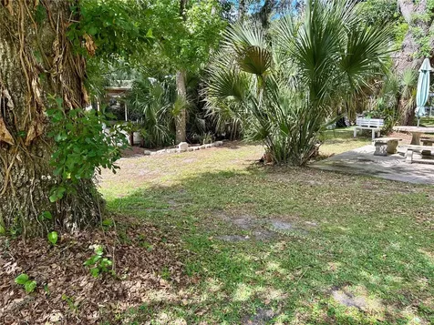 25646 Bass Road Astor FL 32102