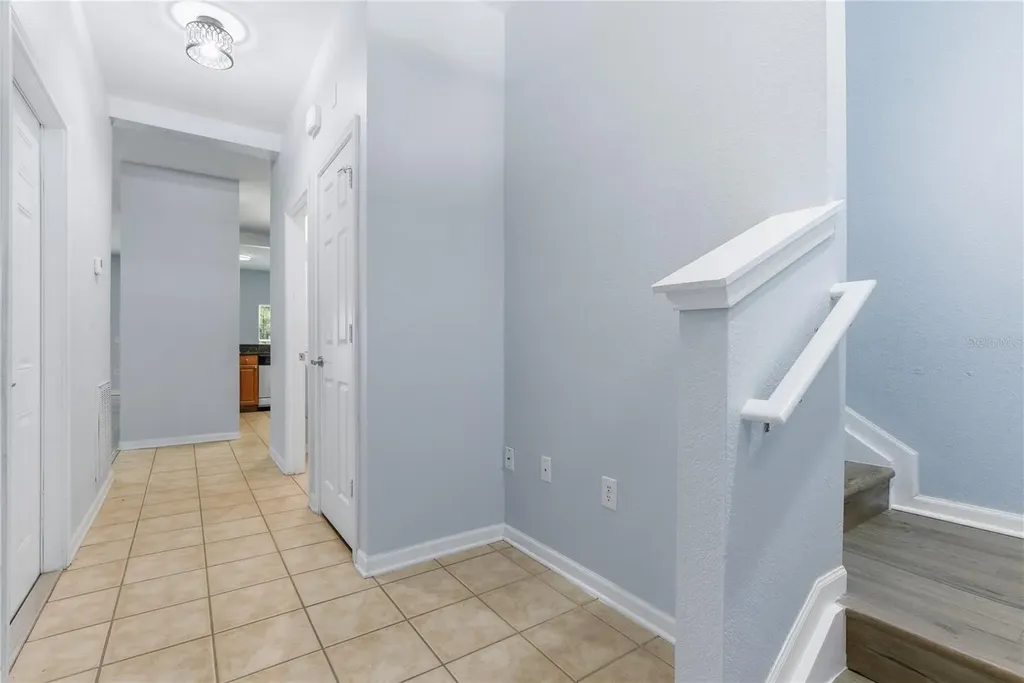 8208 Downpatrick Court Tampa FL 33610