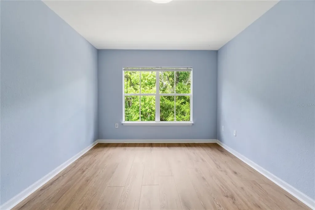 8208 Downpatrick Court Tampa FL 33610