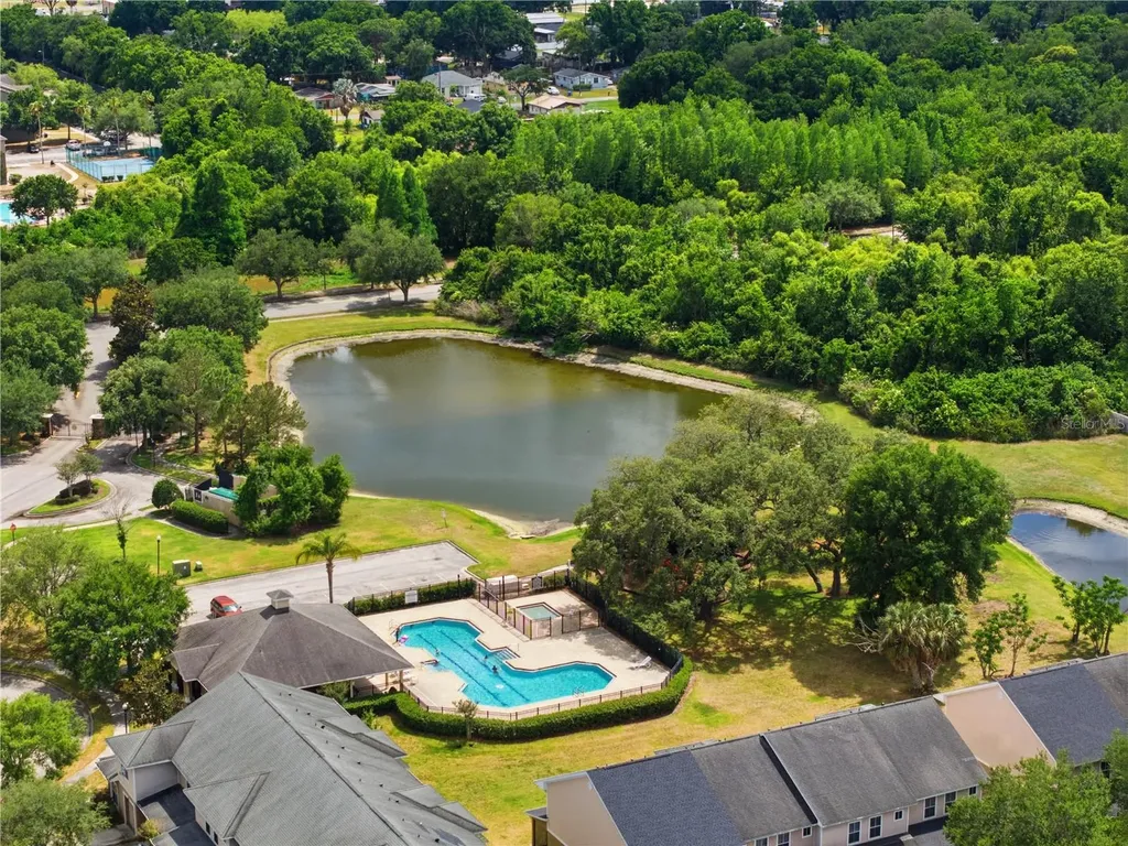 8208 Downpatrick Court Tampa FL 33610