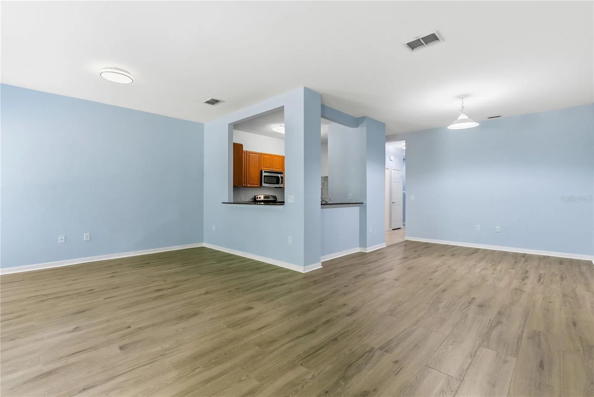 8208 Downpatrick Court Tampa FL 33610