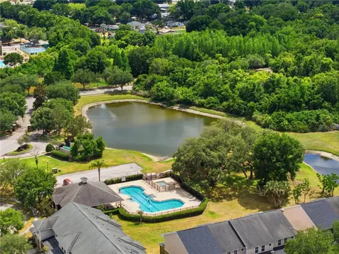 8208 Downpatrick Court Tampa FL 33610