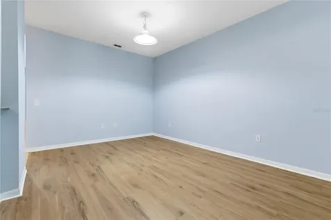 8208 Downpatrick Court Tampa FL 33610