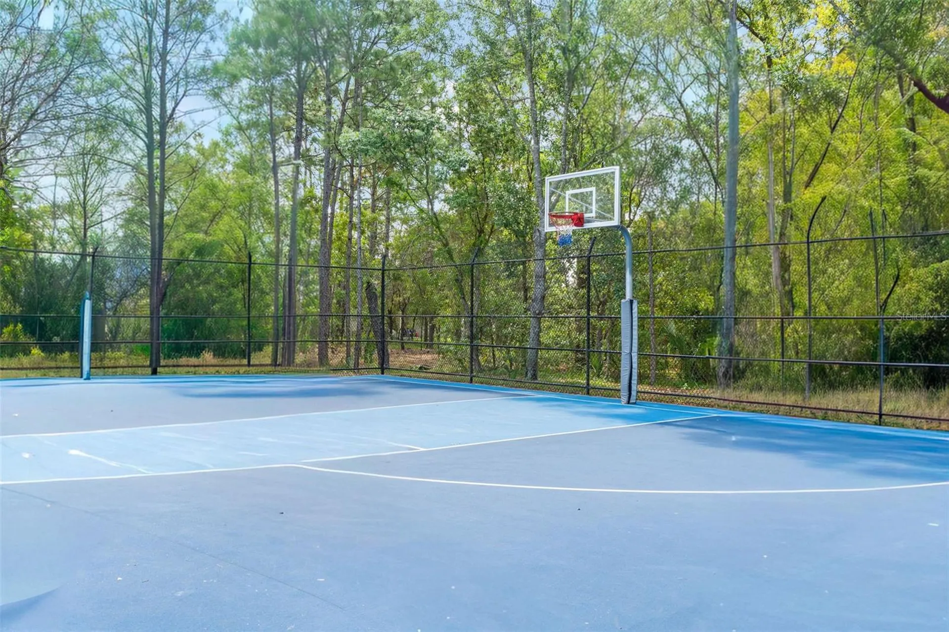 5155 Brackenwood Drive Spring Hill FL 34609
