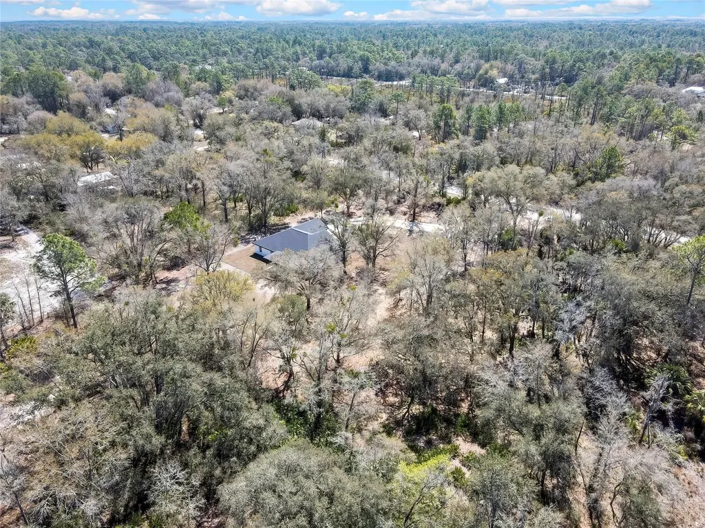 11983 W Appletree Place Crystal River FL 34428