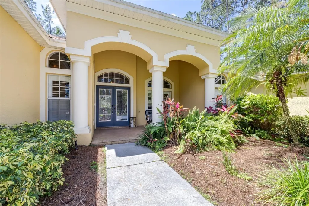313 Pine Bluff Drive Lutz FL 33549