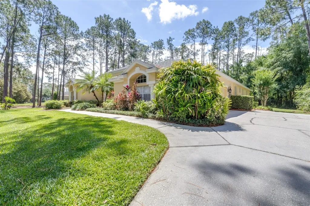 313 Pine Bluff Drive Lutz FL 33549