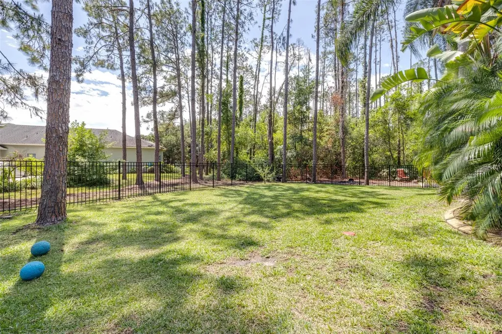 313 Pine Bluff Drive Lutz FL 33549