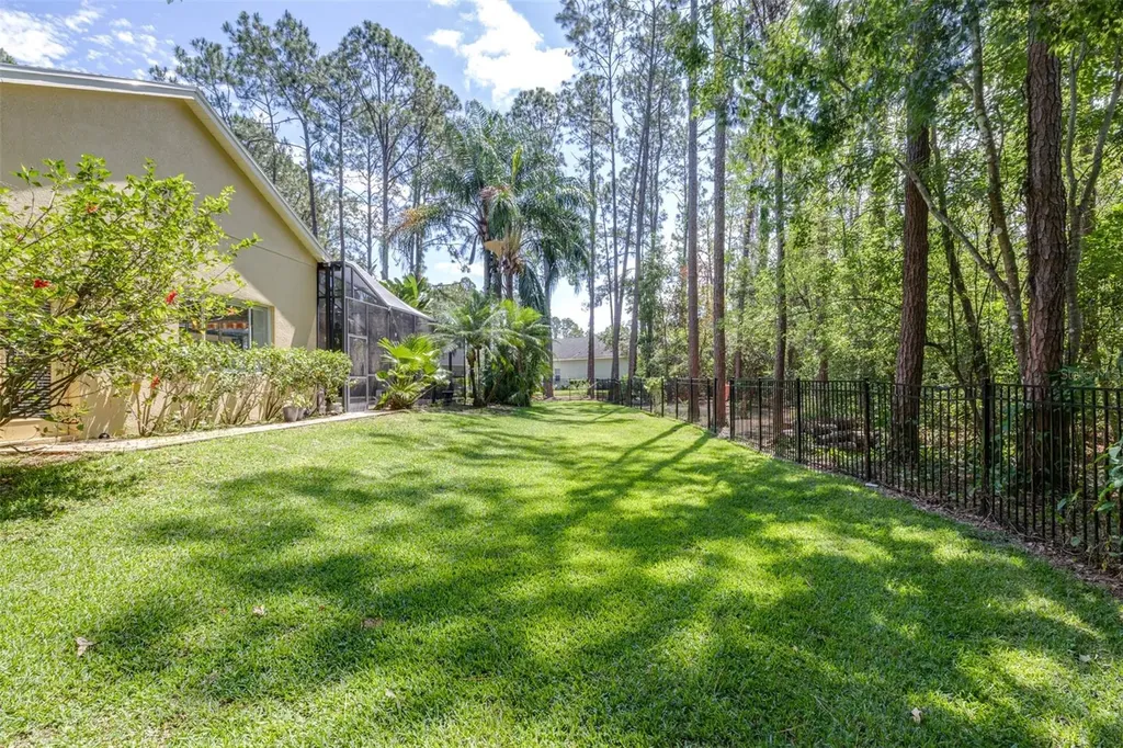313 Pine Bluff Drive Lutz FL 33549