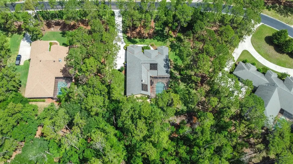 313 Pine Bluff Drive Lutz FL 33549