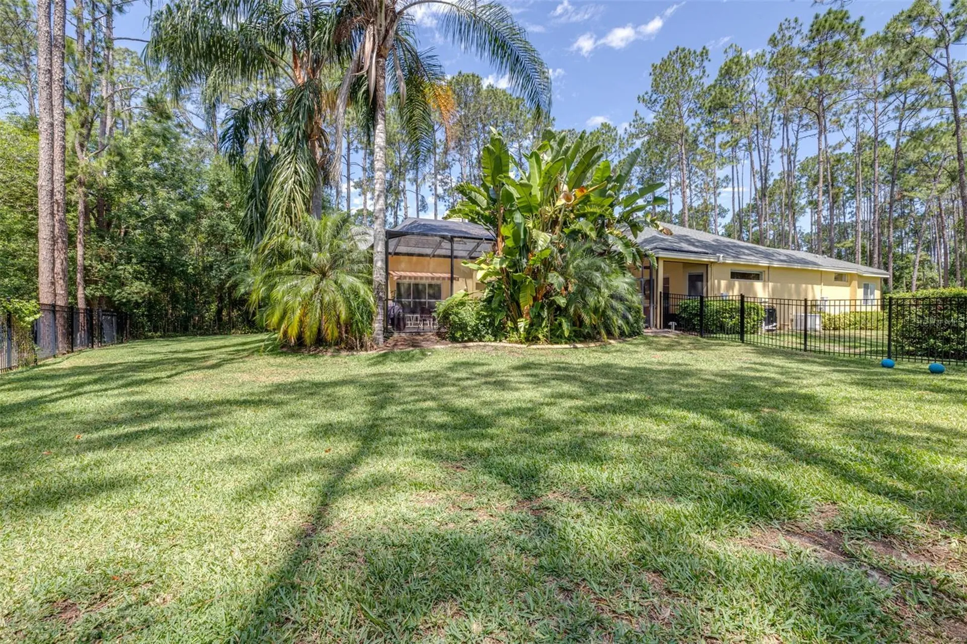 313 Pine Bluff Drive Lutz FL 33549