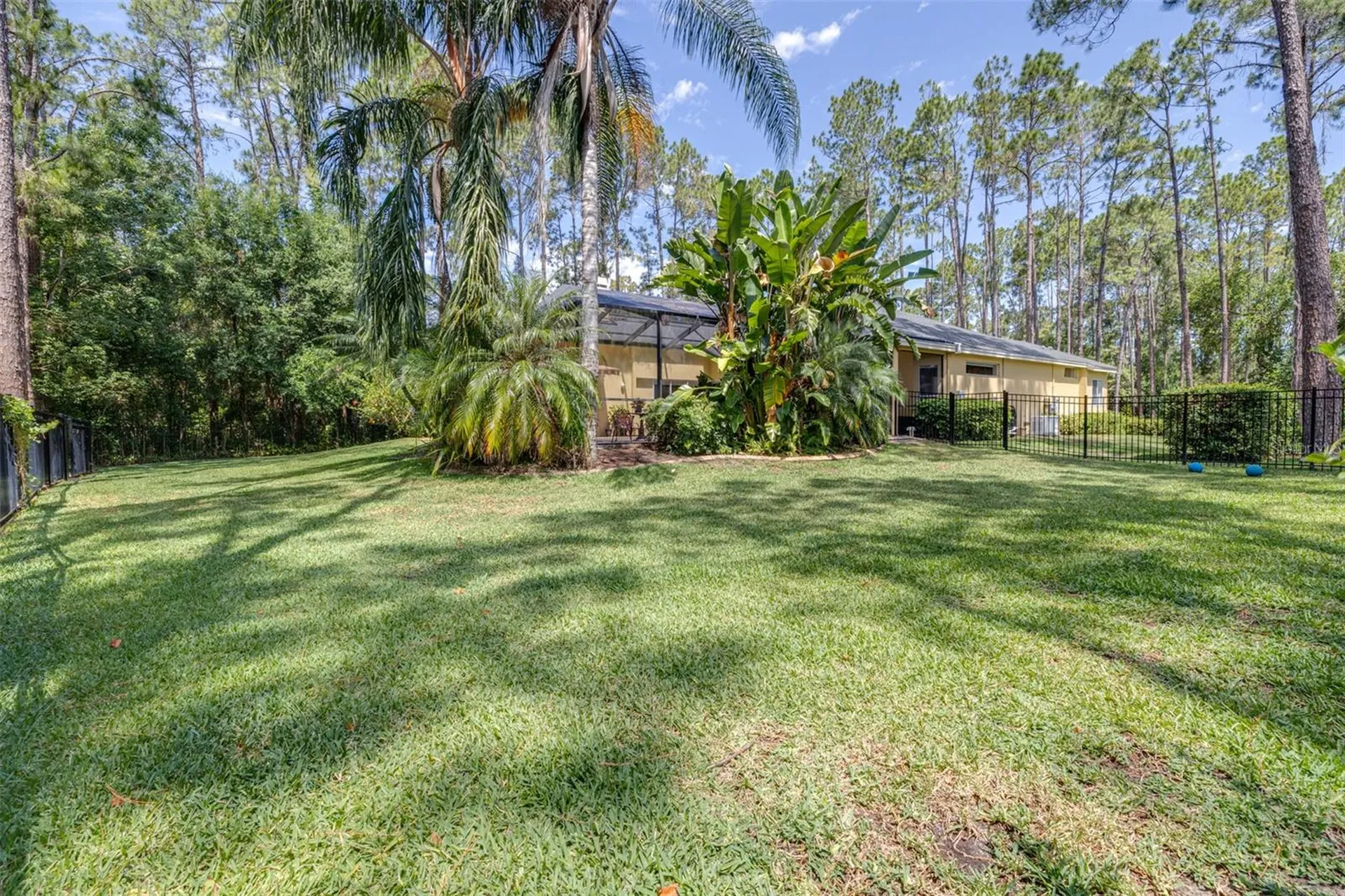 313 Pine Bluff Drive Lutz FL 33549