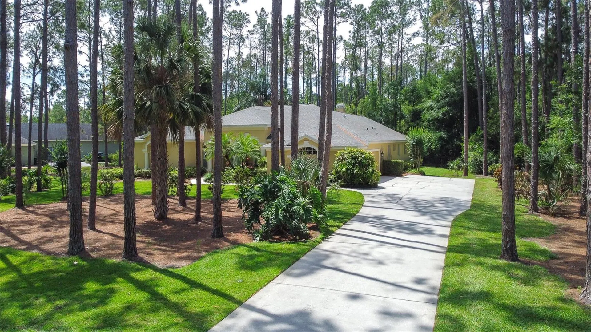 313 Pine Bluff Drive Lutz FL 33549