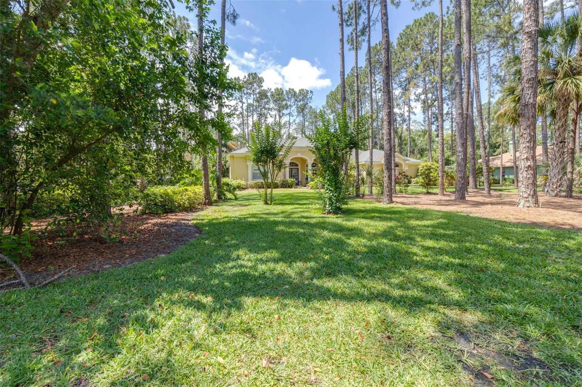313 Pine Bluff Drive Lutz FL 33549