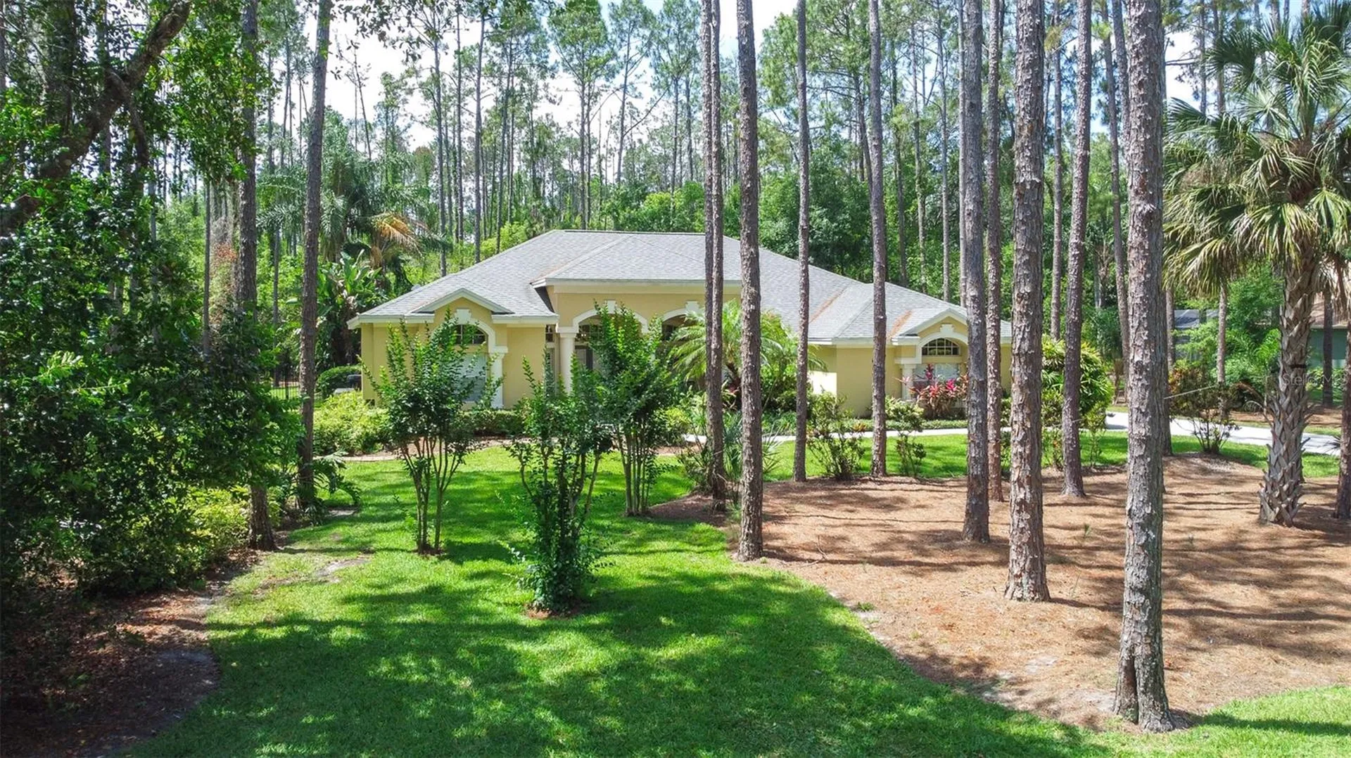 313 Pine Bluff Drive Lutz FL 33549