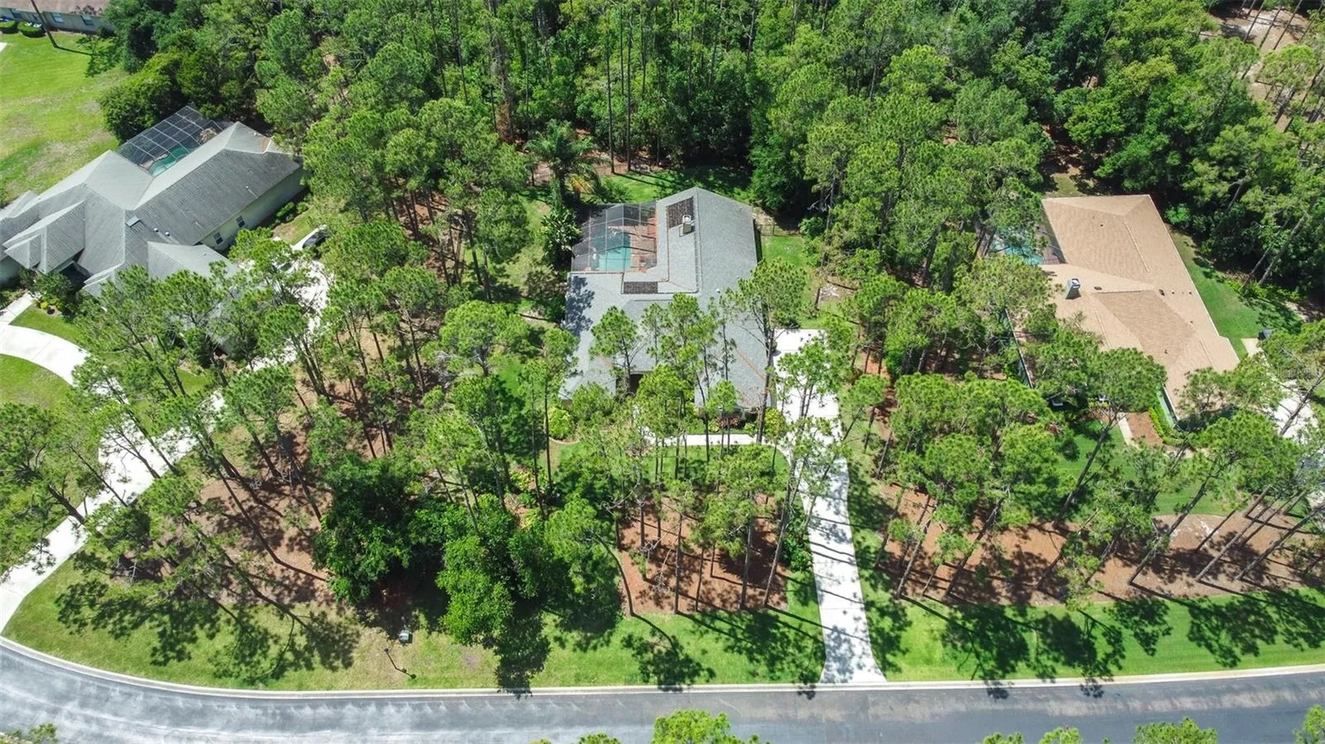 313 Pine Bluff Drive Lutz FL 33549