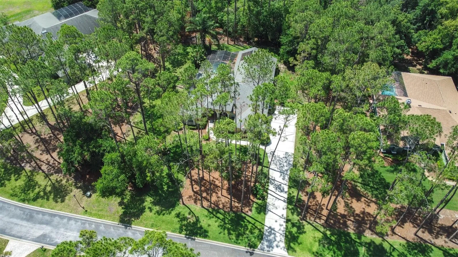 313 Pine Bluff Drive Lutz FL 33549