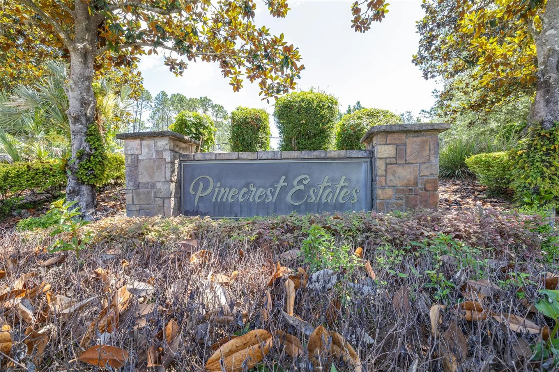 313 Pine Bluff Drive Lutz FL 33549