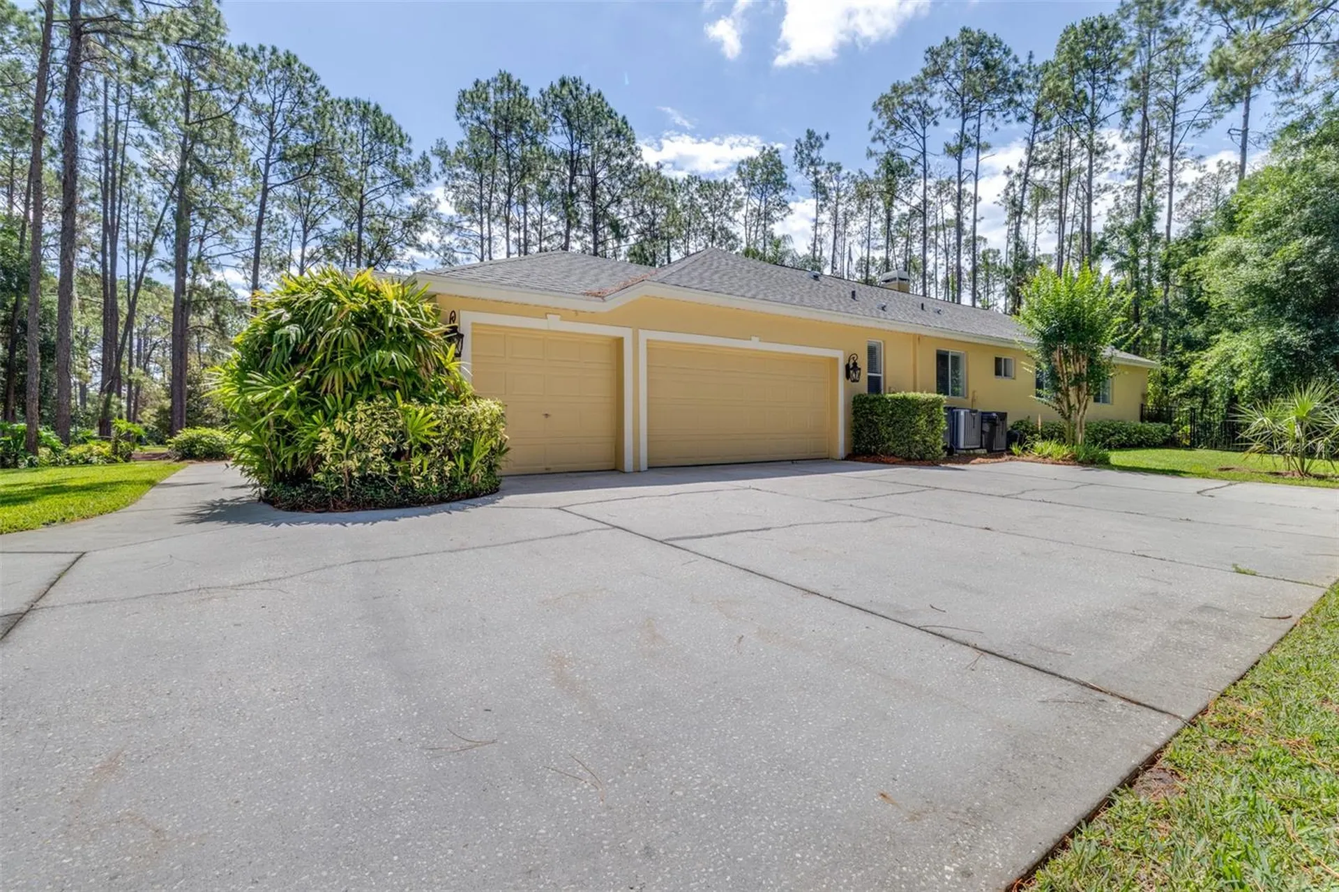 313 Pine Bluff Drive Lutz FL 33549