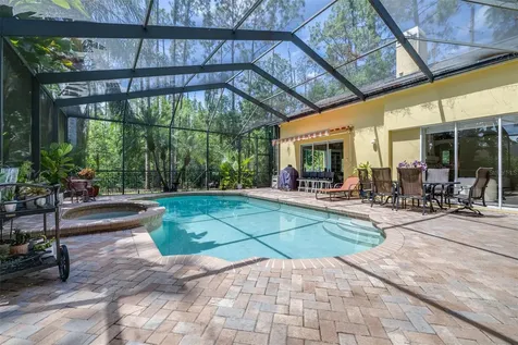 313 Pine Bluff Drive Lutz FL 33549