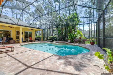 313 Pine Bluff Drive Lutz FL 33549