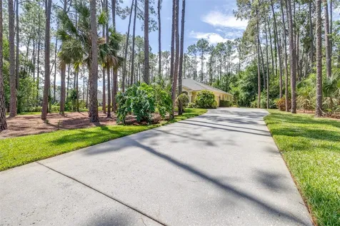 313 Pine Bluff Drive Lutz FL 33549