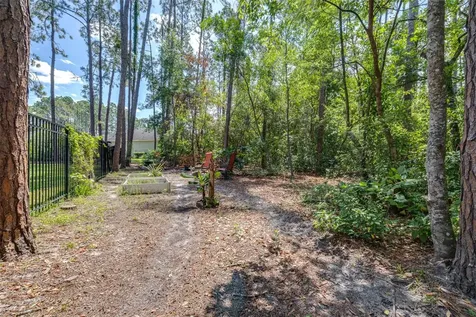 313 Pine Bluff Drive Lutz FL 33549