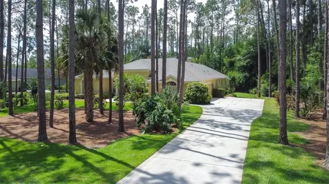 313 Pine Bluff Drive Lutz FL 33549