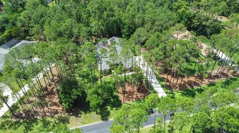 313 Pine Bluff Drive Lutz FL 33549