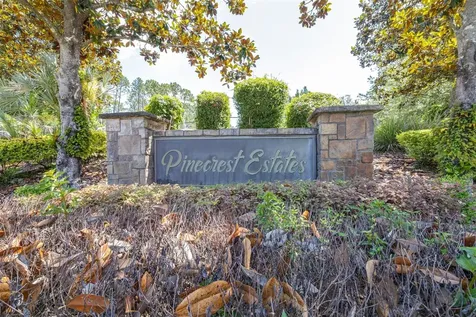 313 Pine Bluff Drive Lutz FL 33549